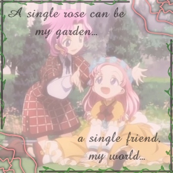 A Single Rose