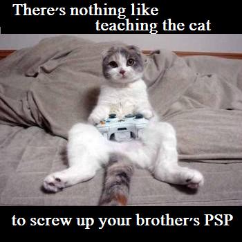 Cat's PSP