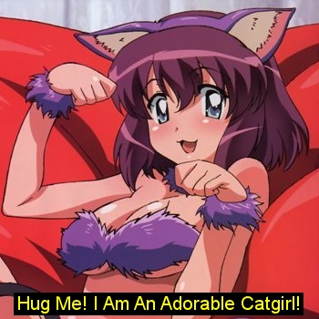 Hug The Catgirl