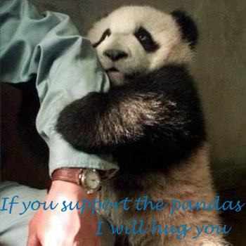 Support pandas