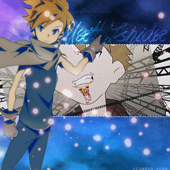 Digital Champion (GIF)