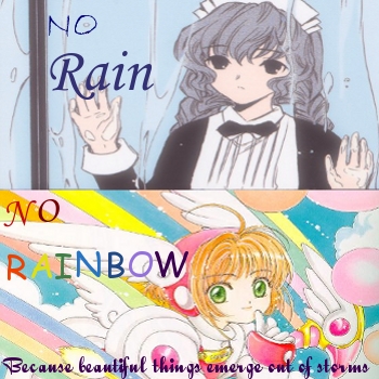 No rain