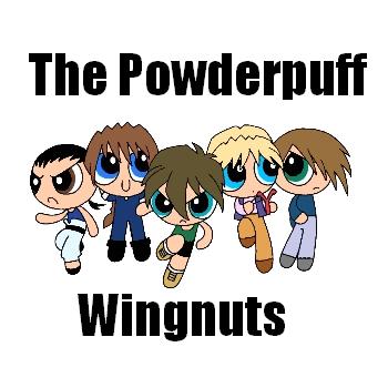Powderpuff Girls plus Gundam Wing equals