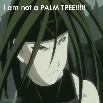 Palm Envy Tree