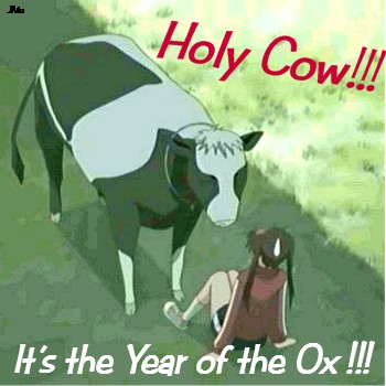 Holy Cow!!! Year of the Ox!!!