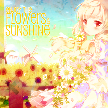 Flowers & Sunshine