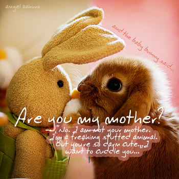 are you my mother? asked the bunny.