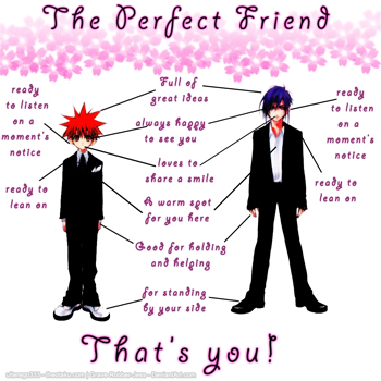 the perfect friend