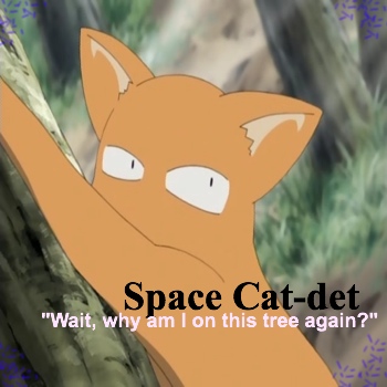 Space Cat-det