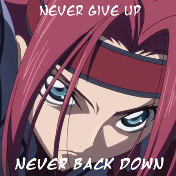 Never Give Up, Never Back Down
