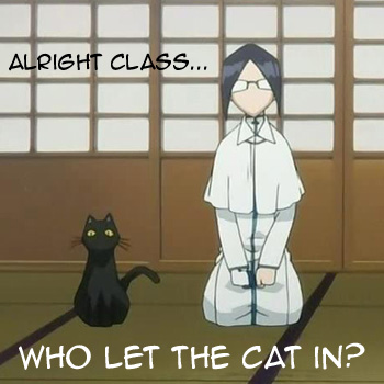 Cat in the Class