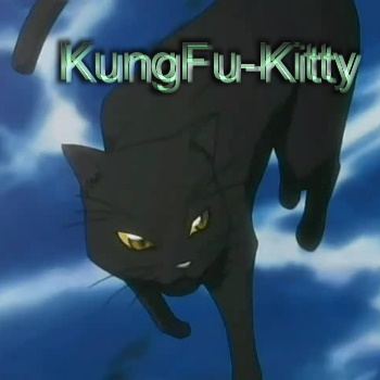 KungFu-kitty