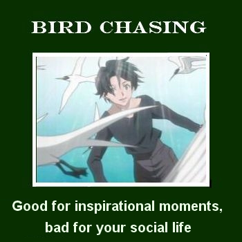 Bird Chasing.