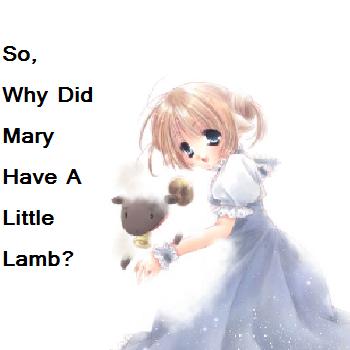 Mary Sheep