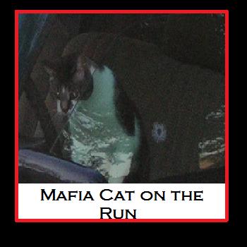 Mafia Cat
