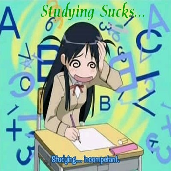 Studying Sucks
