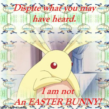 I'm not the Easter Bunny!