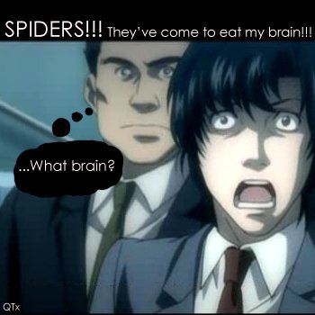 Matsuda - spiders!!