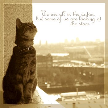 Optimism