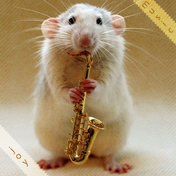 musical pet