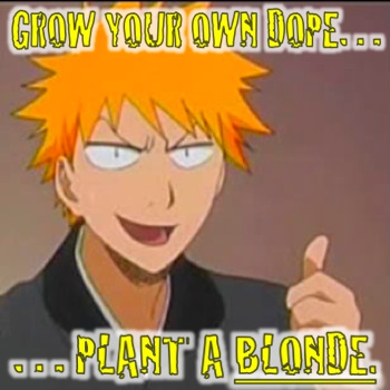 Grow Your Own Dope