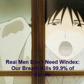 No Windex