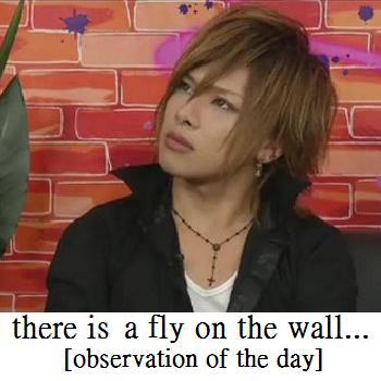 fly on the wall