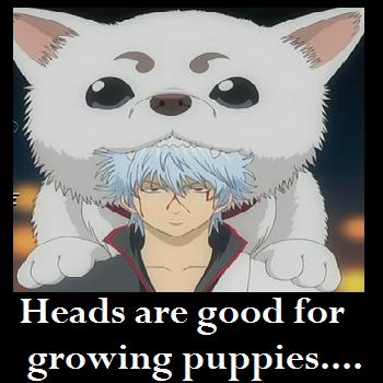 Growing Puppies