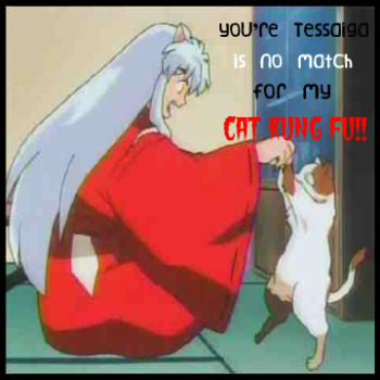 Cat Kung-Fu!