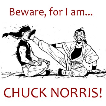 Beware Chuck Norris!