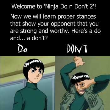 Ninja Do n Don't 2