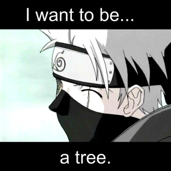 Kakashi the Tree