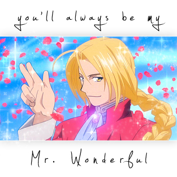 Mr. Wonderful