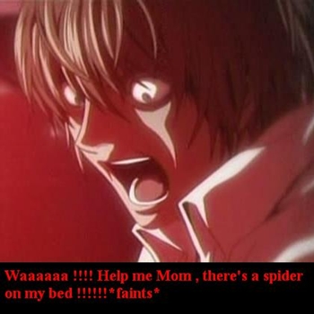 A spider on my bed !!!