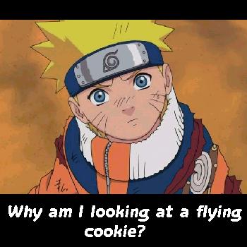 Flying cookie?