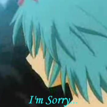 I'm Sorry...