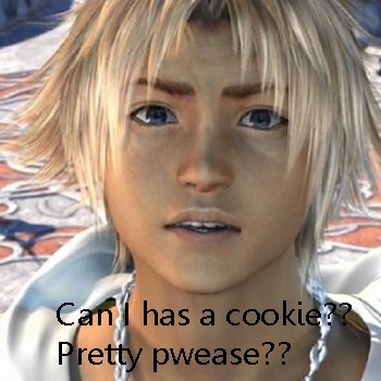 Tidus really wants a cookie