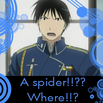 A spider!!??