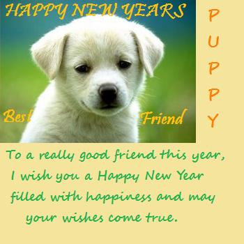 Puppy New Years