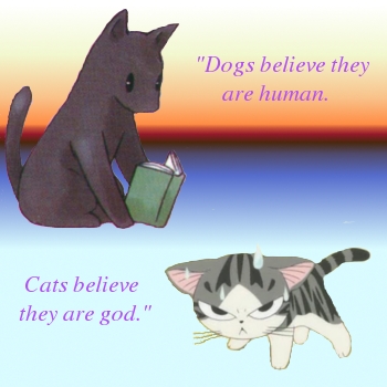 What dogs and cats believe