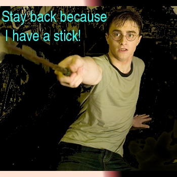 I have a stick!!