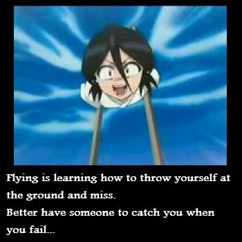 The true secret of flying