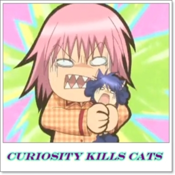 curiosity kills cats