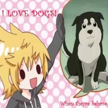 i love dogs!