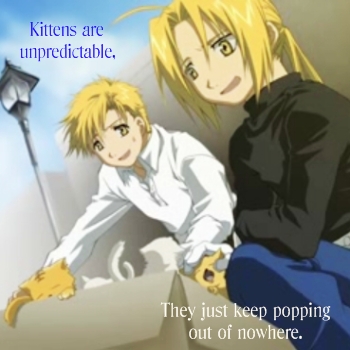unpredictable kittens
