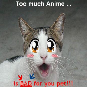 Don't Let Animals watch too much anime!