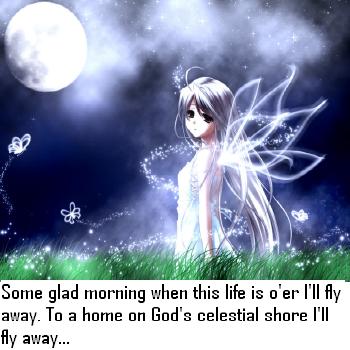 I'll Fly away...