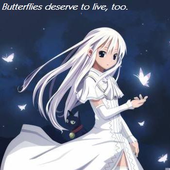 Butterflies