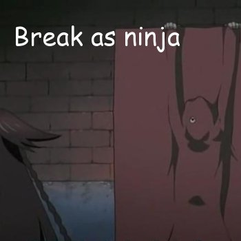 Ninja