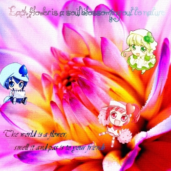Flowers & Friendship